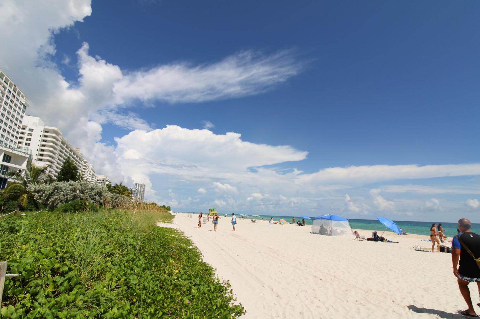 Castle 835 Oceanview Studio On Beach With Pool, Gym, Bars, And Free Parking Miami Beach Exterior photo